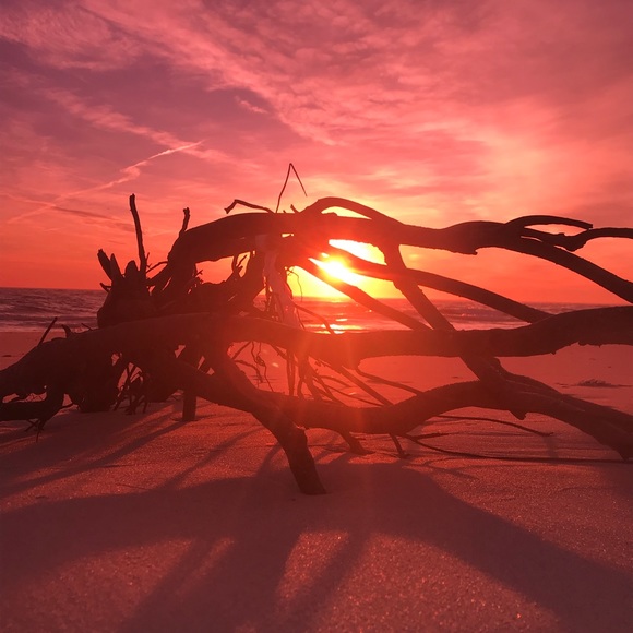 Meet your Posher, Angela 🦋🌊🦋🌊🦋🌊🦋 - Picture 7 of 16